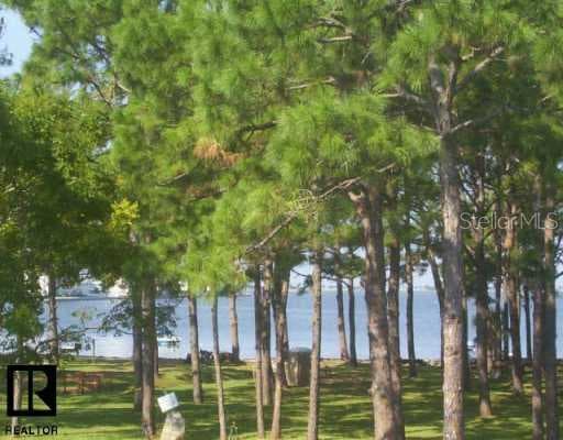 2700 Bayshore BOULEVARD UNIT 4202 Dunedin, FL 34698