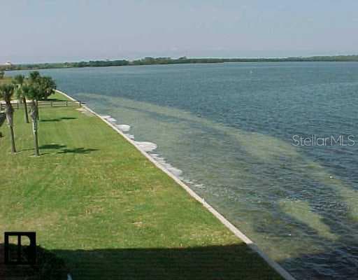 9 Haig PLACE UNIT 303 Dunedin, FL 34698