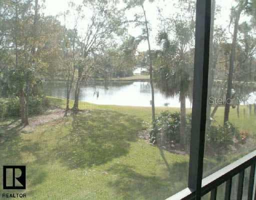 118 Martha LANE Oldsmar, FL 34677