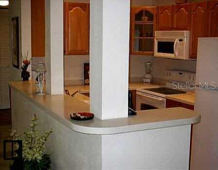 534 Plaza Seville COURT UNIT 61 Treasure Island, FL 33706