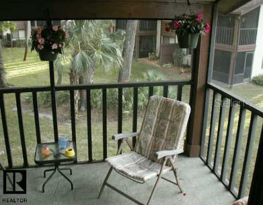 506 MISTLETOE COURT SAFETY HARBOR, FL 34695