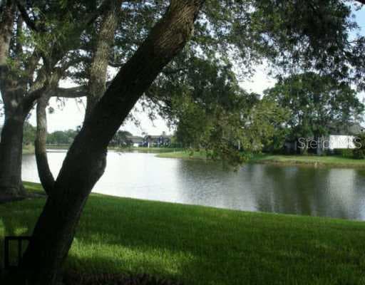 143 Lakeview WAY Oldsmar, FL 34677