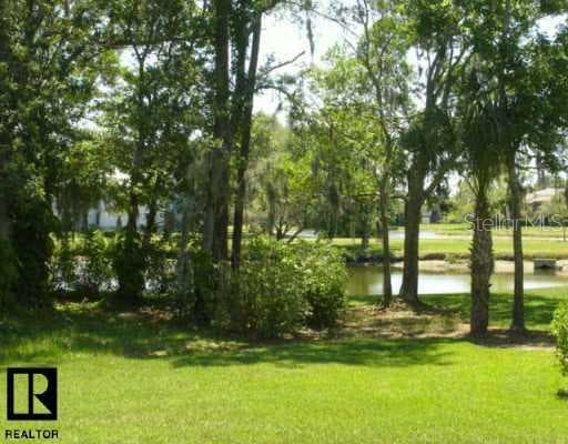 203 Martha LANE Oldsmar, FL 34677