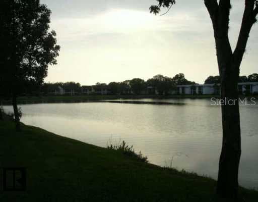 215 Woodlake Oldsmar, FL 34677