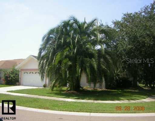 11912 Snapdragon ROAD Tampa, FL 33635