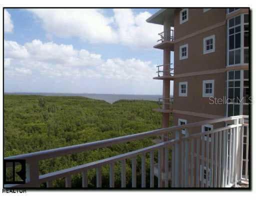 12033 Gandy BOULEVARD UNIT 165 St Petersburg, FL 33702