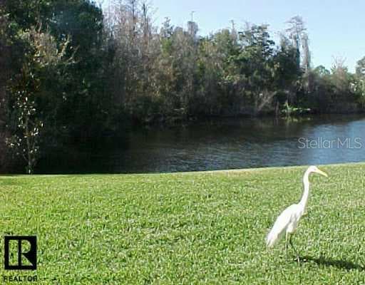 321 Woodlake Oldsmar, FL 34677