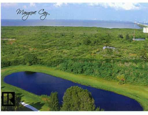 10851 Mangrove Cay LANE NE UNIT #715 St. Petersburg, FL 33716