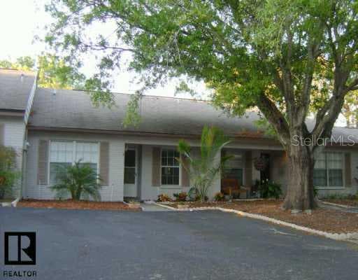 313 Bay PLACE Safety Harbor, FL 34695