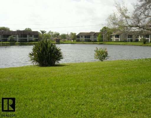 237 Cypress LANE Oldsmar, FL 34677