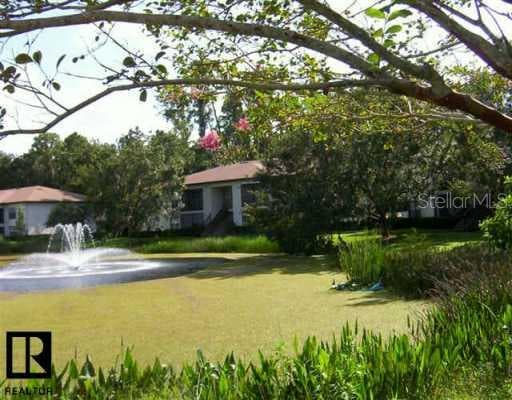 3377 Crystal COURT W Palm Harbor, FL 34685