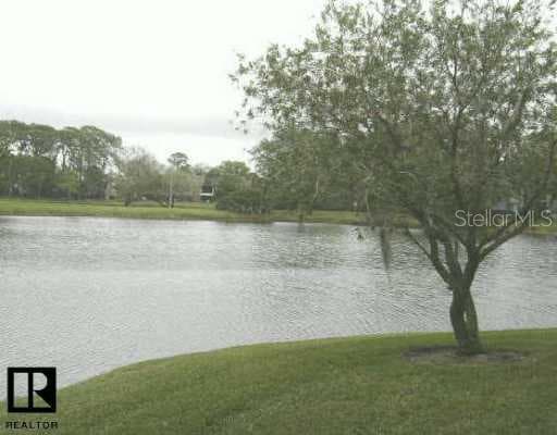 162 Lakeview WAY Oldsmar, FL 34677