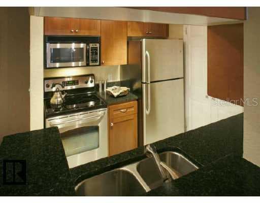 10200 GANDY BOULEVARD UNIT 229 ST.PETERSBURG, FL 33702