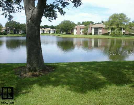 211 Nina WAY Oldsmar, FL 34677
