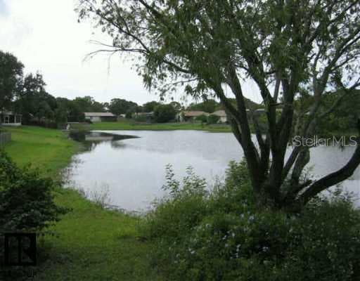 638 Timber Bay CIRCLE E Oldsmar, FL 34677