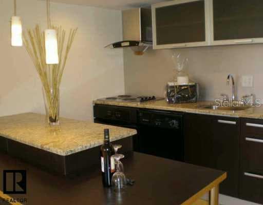701 Madison AVENUE UNIT 305 Clearwater, FL 33756