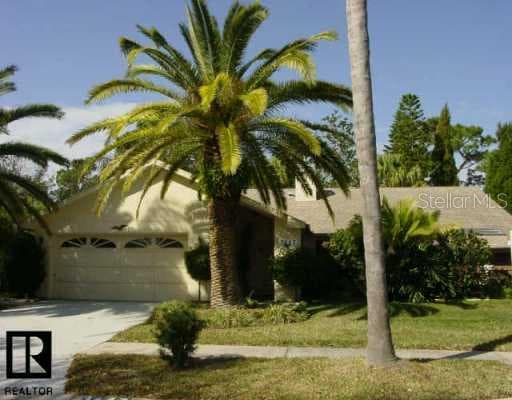 3647 Scarlet Tanager DRIVE Palm Harbor, FL 34683