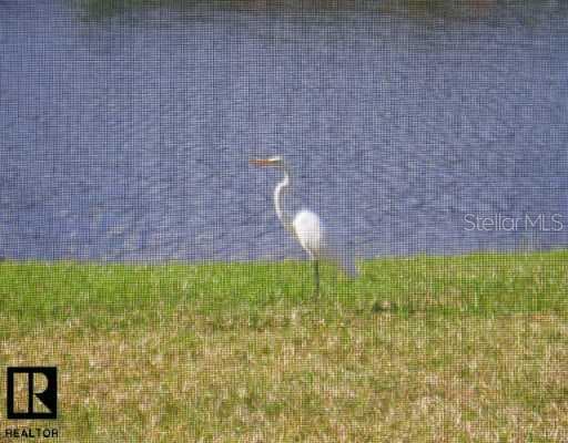 3017 Northfield DRIVE Tarpon Springs, FL 34688