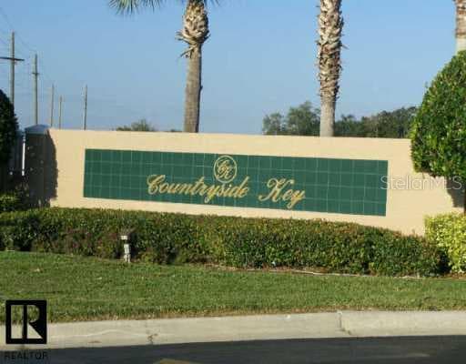 463 Countryside Key BOULEVARD Oldsmar, FL 34677