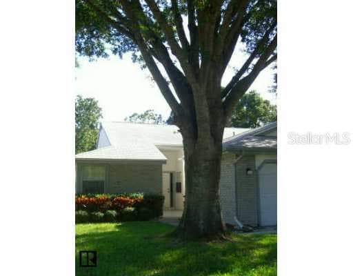 295 Petrea DRIVE Palm Harbor, FL 34684