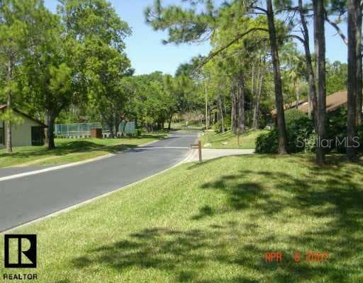 2931 Boxwood COURT Palm Harbor, FL 34684