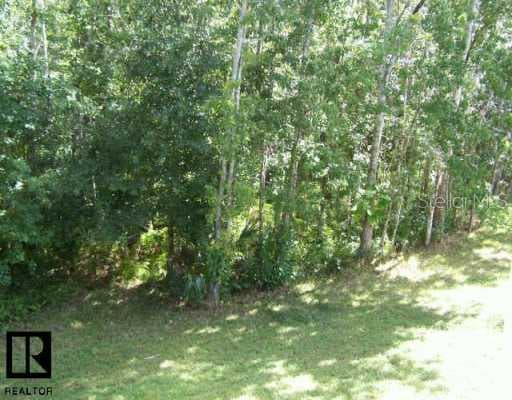 1344 Pine Ridge E UNIT 126C2 Tarpon Springs, FL 34688