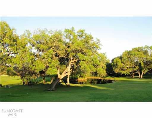 1298 Mission Hills BOULEVARD UNIT 31-C Clearwater, FL 33759
