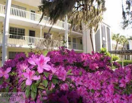 821 Deleon COURT UNIT 105 Dunedin, FL 34698
