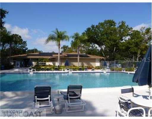 3300 Fox Chase CIRCLE N UNIT 203 Palm Harbor, FL 34683