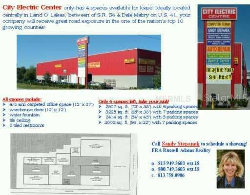 2115 LEONARD ROAD lutz, FL 33549
