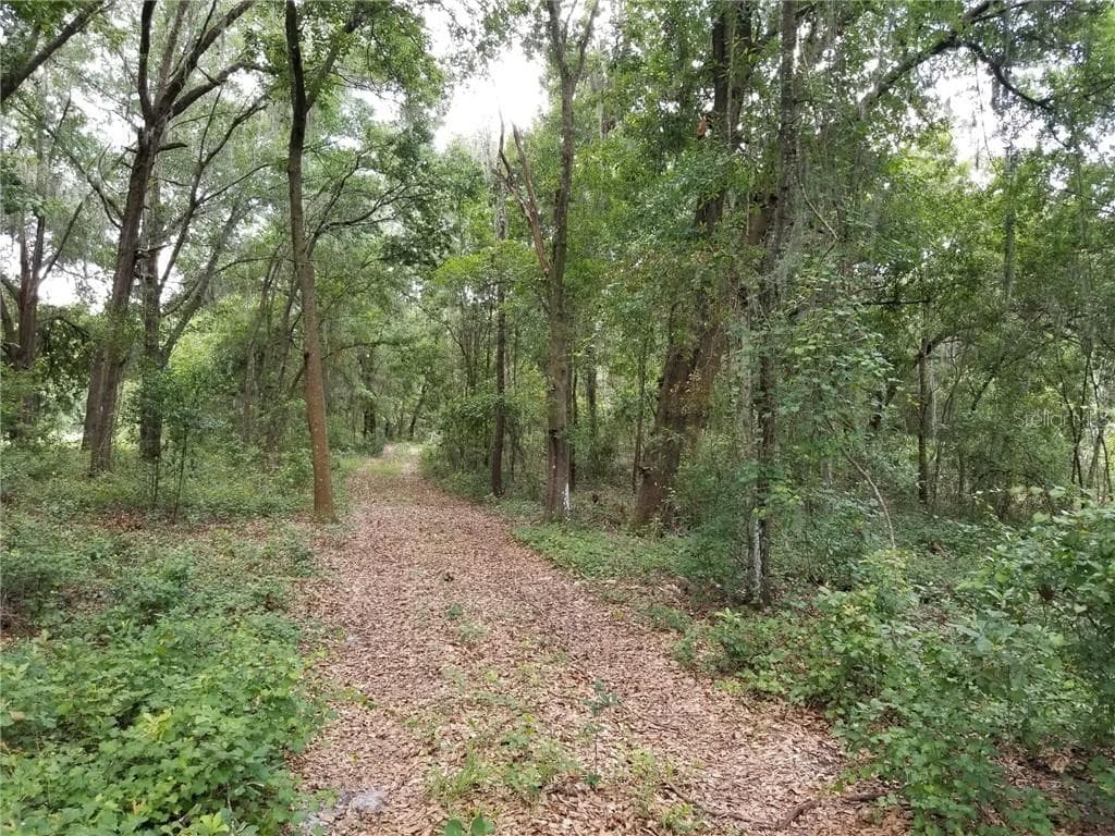 22127 CARSON DRIVE LAND O LAKES, FL 34639