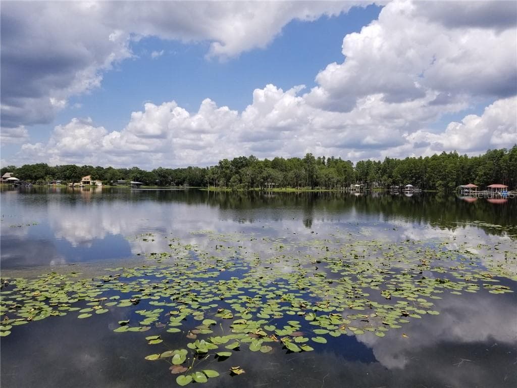 22151 CARSON DRIVE LAND O LAKES, FL 34639