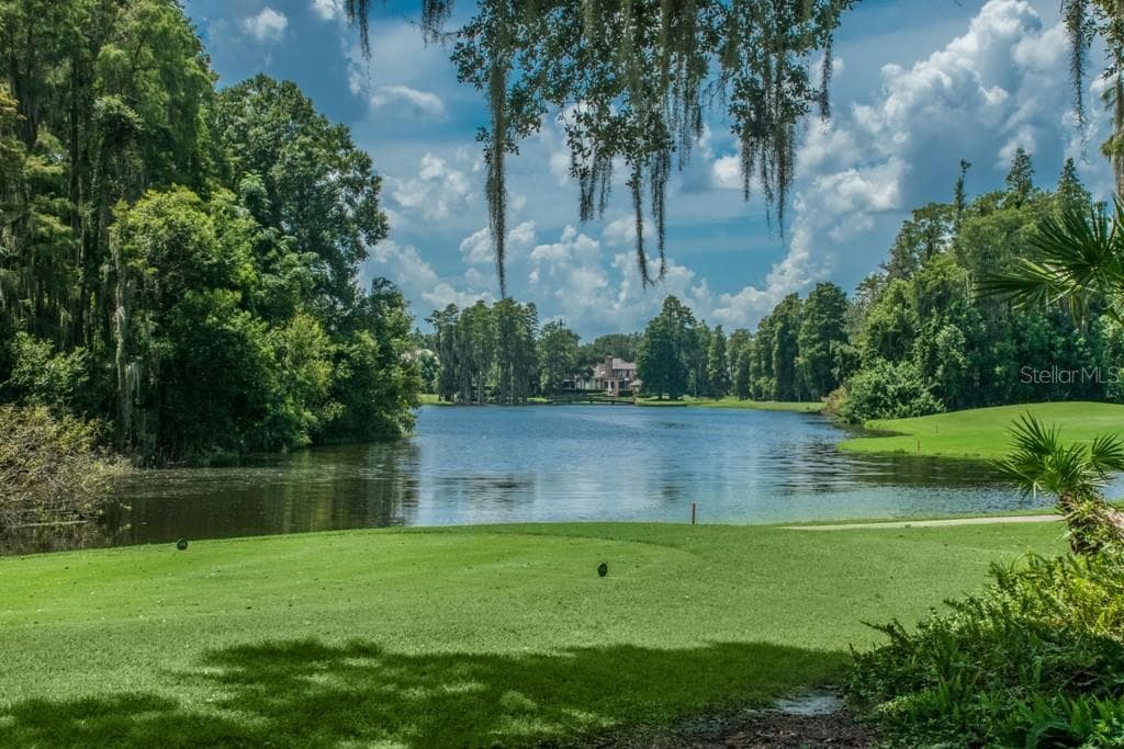 16912 VILLALAGOS DE AVILA LUTZ, FL 33548