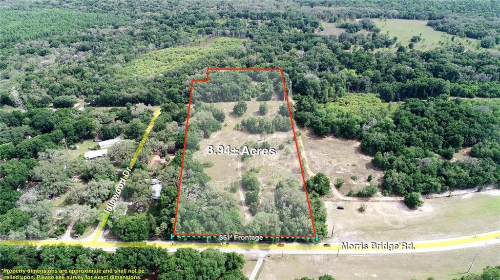 12715 MORRIS BRIDGE ROAD THONOTOSASSA, FL 33592