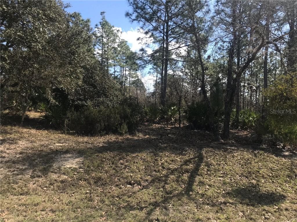 3812 N GRAYHAWK LOOP LECANTO, FL 34461