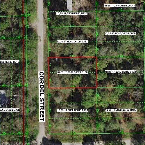 CORDEL STREET NEW PORT RICHEY, FL 34654