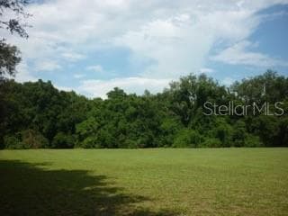 11315 N 301ST HIGHWAY THONOTOSASSA, FL 33592