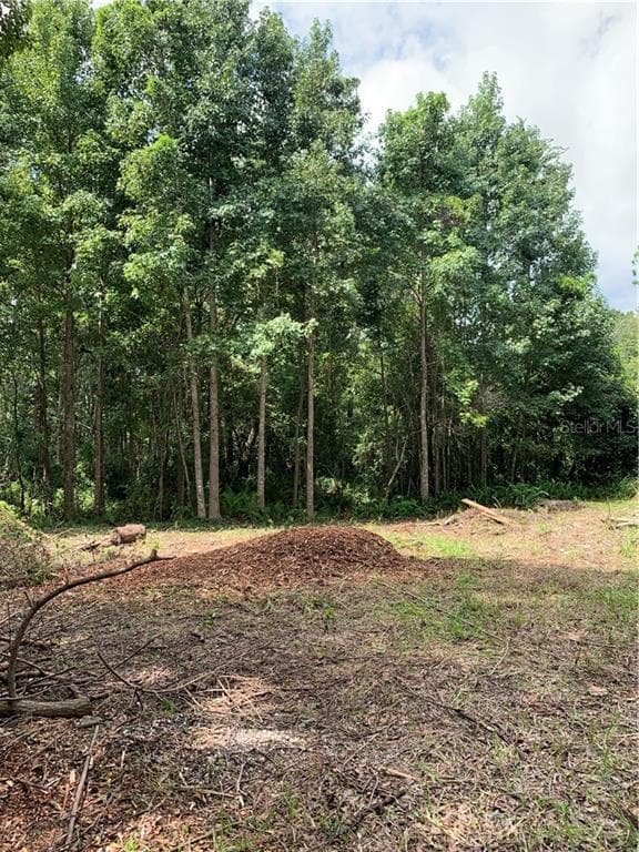 525 4TH STREET OVIEDO, FL 32765
