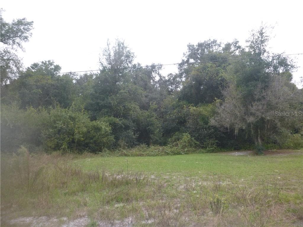 ORCHID PKWY DADE CITY, FL 33523