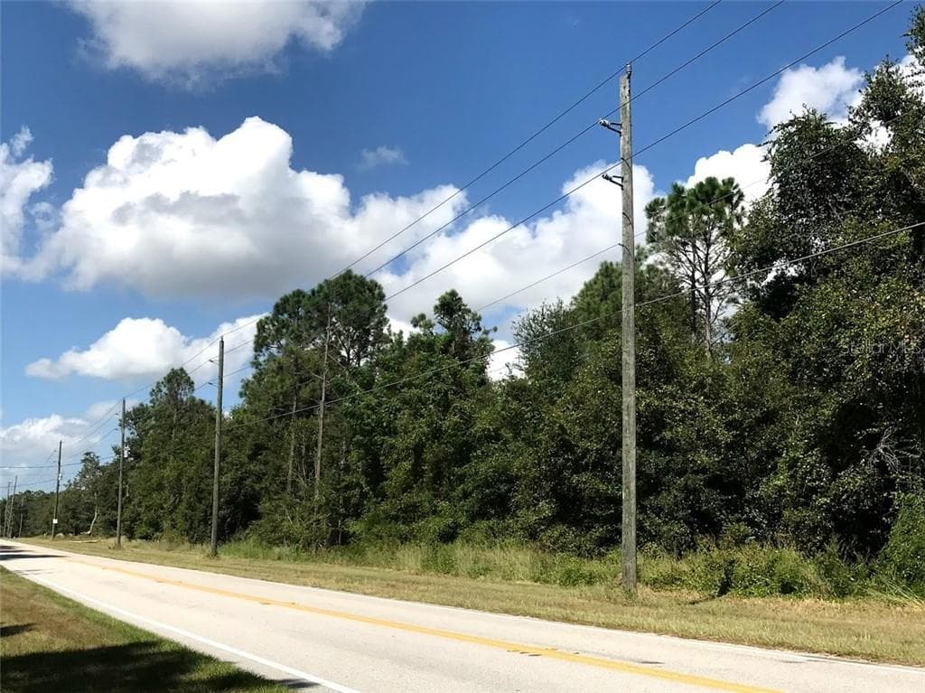 LAKE GRIFFIN ROAD LADY LAKE, FL 32159