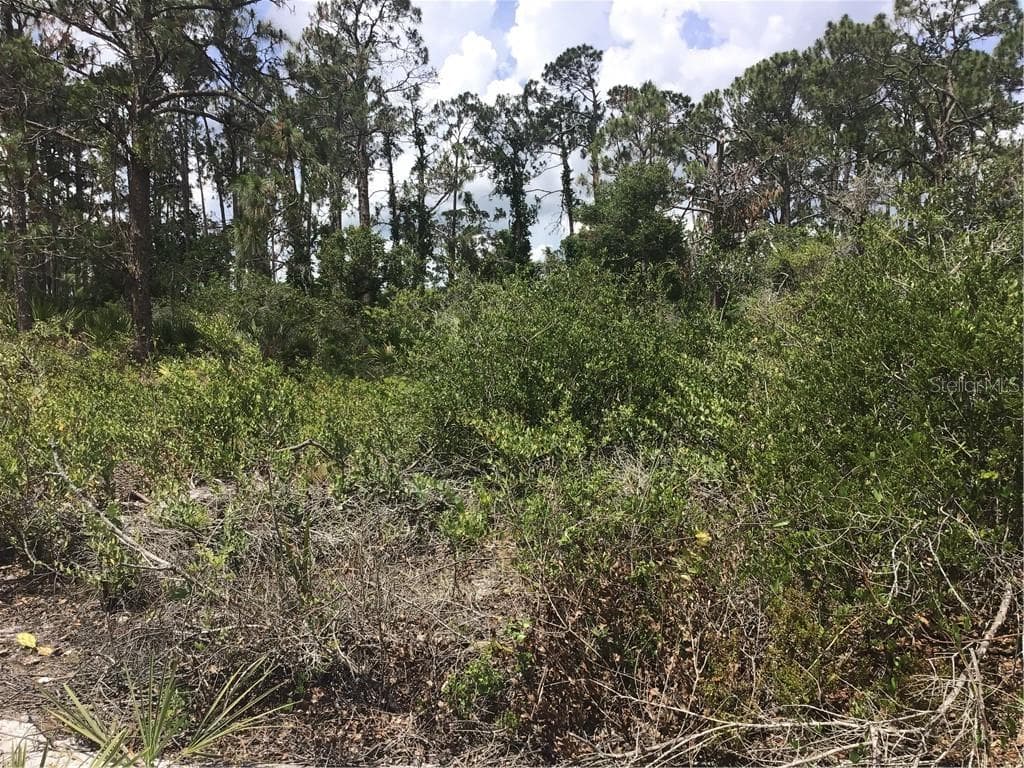 4327 PIEDMONT ALLEY SEBRING, FL 33875