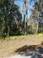 0 ZOLLER STREET BROOKSVILLE, FL 34601