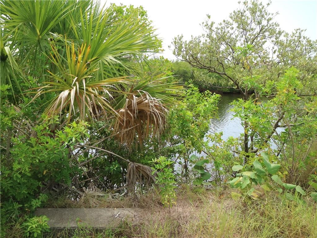 3123 CHRISTOPHERS WATCH LANE RUSKIN, FL 33570