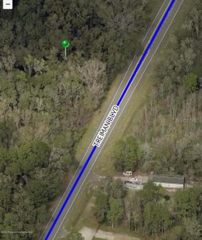 TREIMAN BOULEVARD WEBSTER, FL 33597
