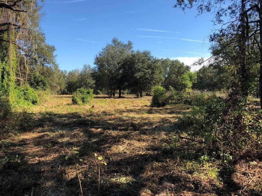 14621 SALEM CHURCH ROAD DOVER, FL 33527