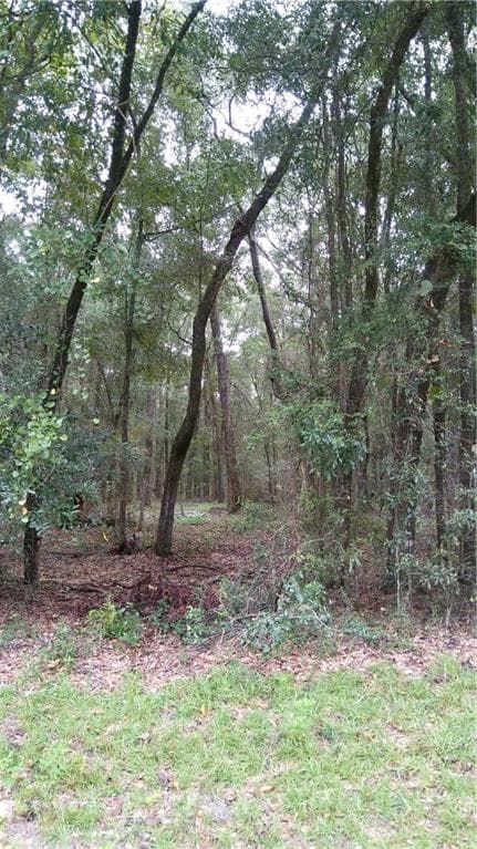 HIGHWAY 349 HIGHWAY O'BRIEN, FL 32071