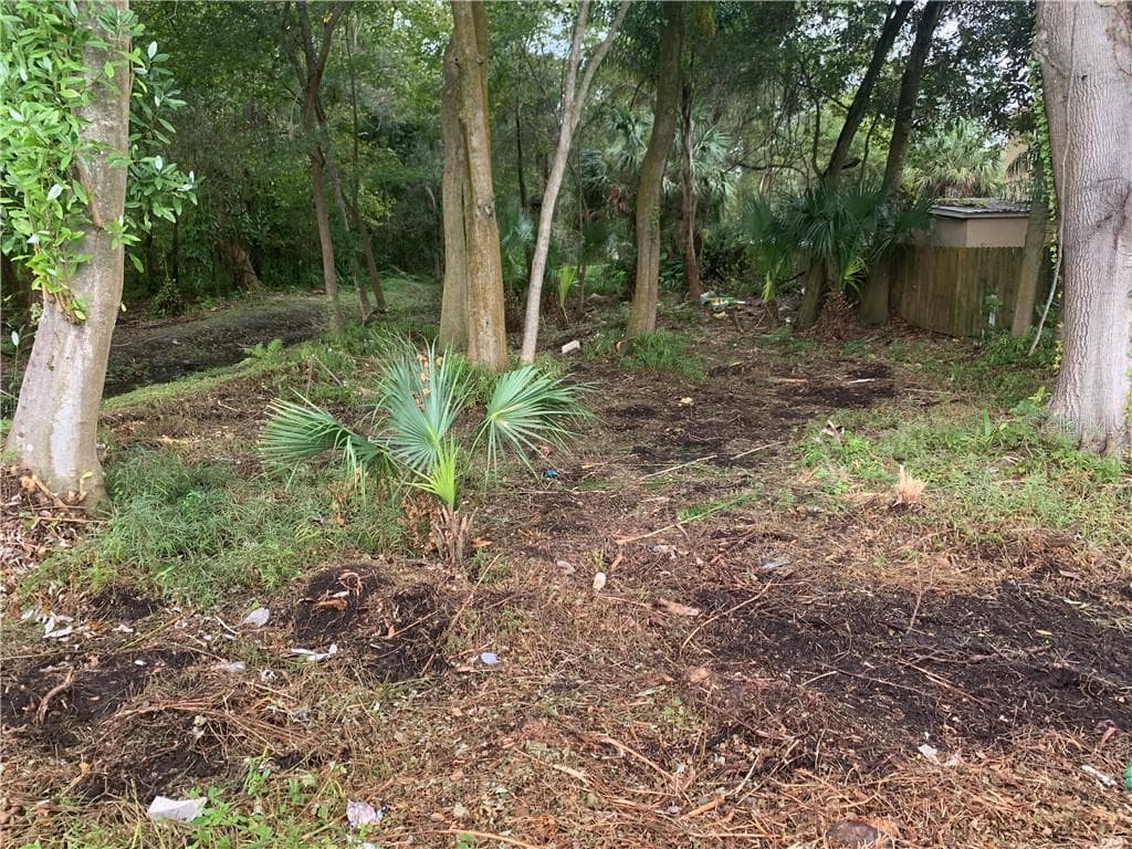 6406 N ROME AVENUE TAMPA, FL 33604