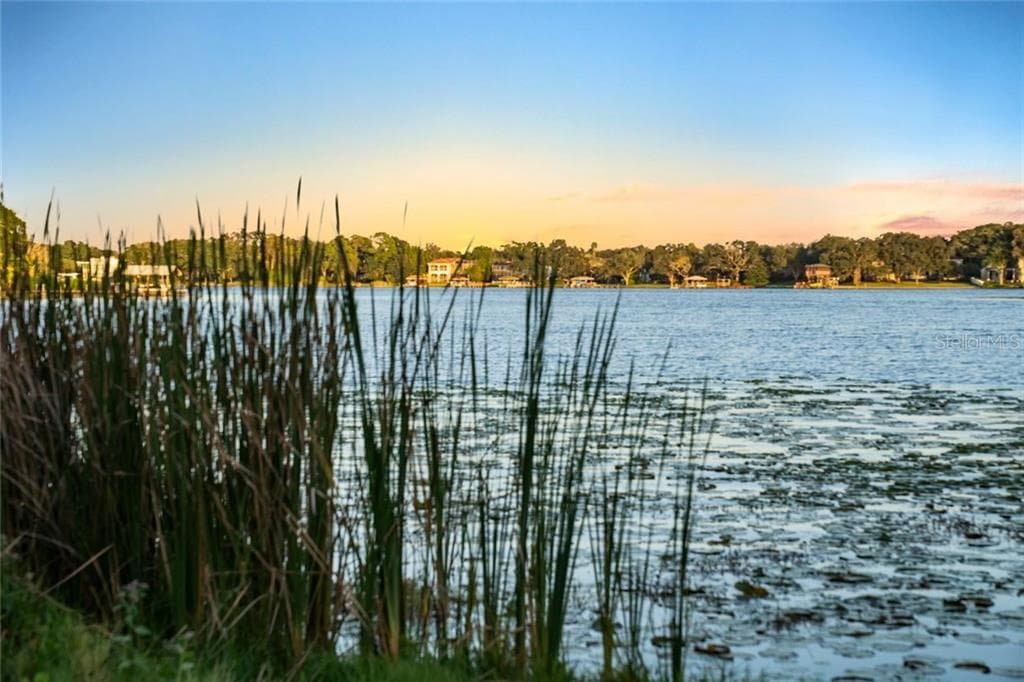 9905 CALLEN DRIVE TAMPA, FL 33618
