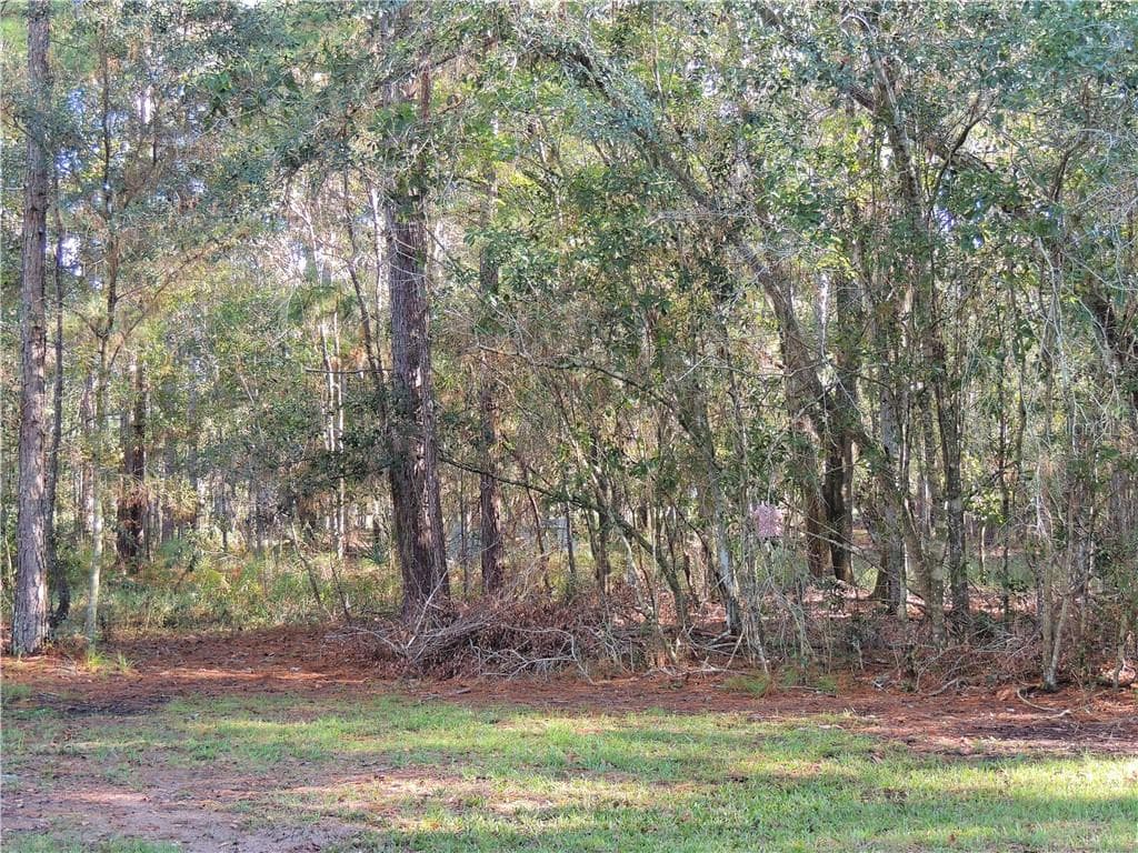 LUTZ LAKE FERN ROAD LUTZ, FL 33558