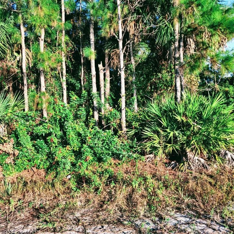 8124 GROVE BOULEVARD PUNTA GORDA, FL 33982
